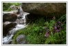 Corse Gr 20 intégral Bavella à Asco